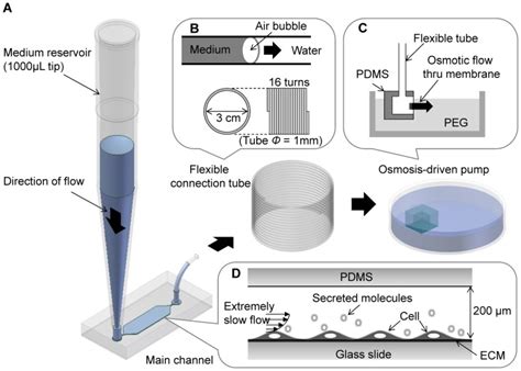 pipette tip for reservoir